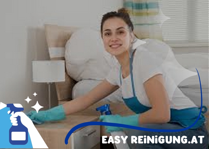 Professionelle Zimmerreinigung Wien Professionelle Zimmerreinigung Wien