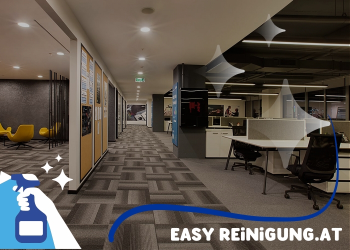 Saubere Eingangsbereiche und Aufzüge wien Saubere Eingangsbereiche und Aufzüge wien